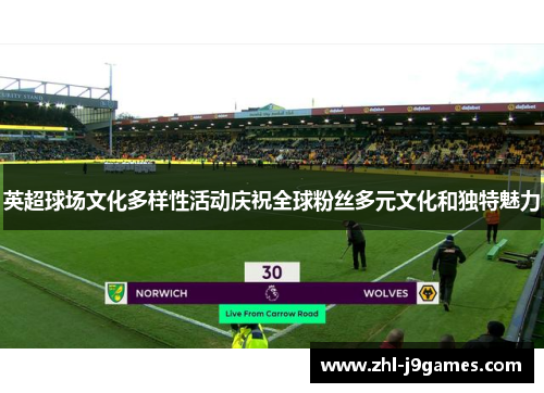 英超球场文化多样性活动庆祝全球粉丝多元文化和独特魅力