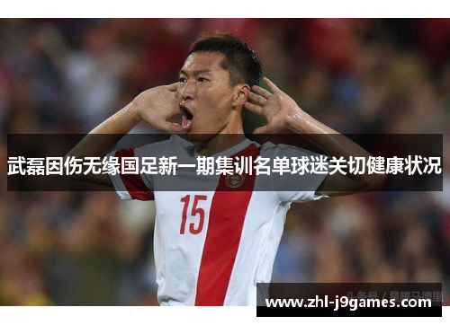 武磊因伤无缘国足新一期集训名单球迷关切健康状况 武磊因伤无缘国足新一期集训名单球迷关切健康状况