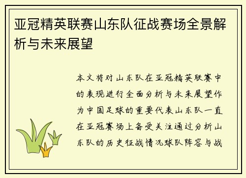 亚冠精英联赛山东队征战赛场全景解析与未来展望 亚冠精英联赛山东队征战赛场全景解析与未来展望
